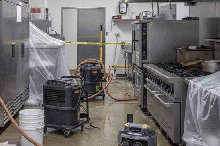 F&B Reinstatement