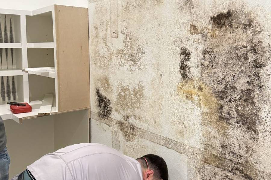 Painting & Wall Restoration